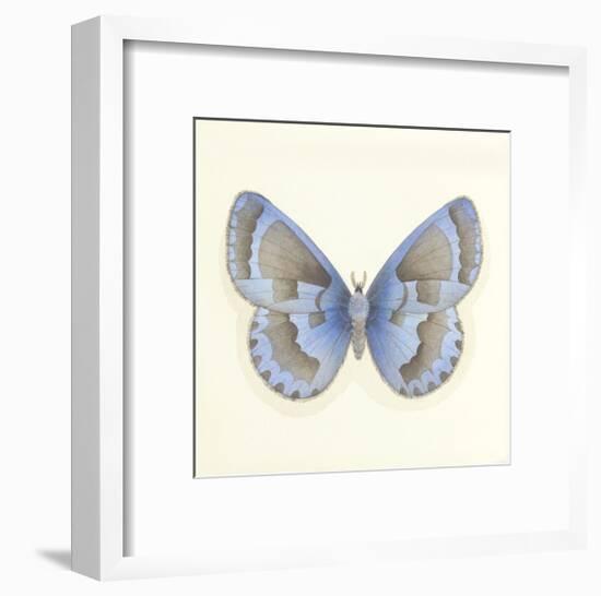 Butterfly VII-Sophie Golaz-Framed Premium Giclee Print