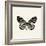 Butterfly VIII BW Crop-Debra Van Swearingen-Framed Art Print