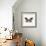 Butterfly VIII BW Crop-Debra Van Swearingen-Framed Art Print displayed on a wall