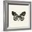 Butterfly VIII BW Crop-Debra Van Swearingen-Framed Art Print