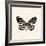 Butterfly VIII BW Crop-Debra Van Swearingen-Framed Art Print