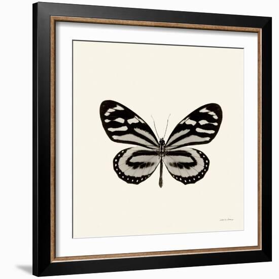 Butterfly VIII BW Crop-Debra Van Swearingen-Framed Art Print