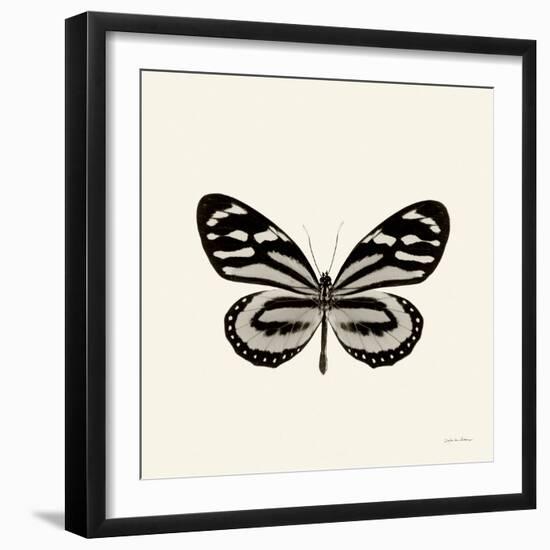 Butterfly VIII BW Crop-Debra Van Swearingen-Framed Art Print