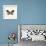Butterfly VIII BW Crop-Debra Van Swearingen-Framed Art Print displayed on a wall