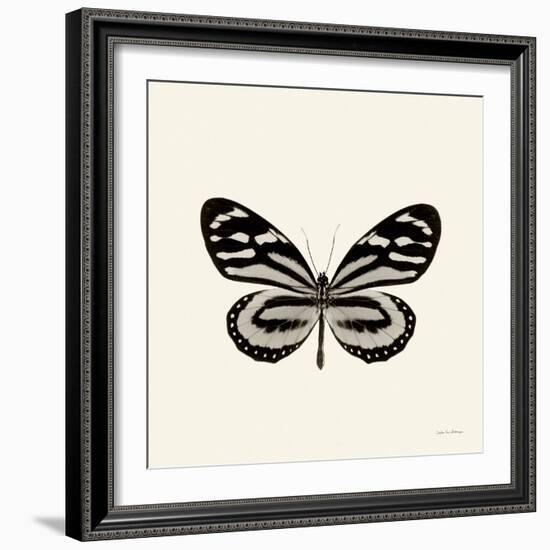 Butterfly VIII BW Crop-Debra Van Swearingen-Framed Art Print