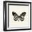 Butterfly VIII BW Crop-Debra Van Swearingen-Framed Art Print