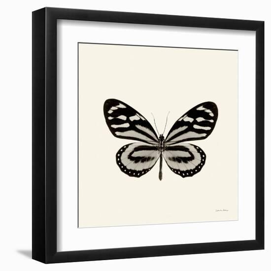 Butterfly VIII BW Crop-Debra Van Swearingen-Framed Art Print