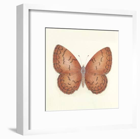 Butterfly VIII-Sophie Golaz-Framed Premium Giclee Print