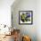 Butterfly Wings-Aleta Pippin-Framed Giclee Print displayed on a wall