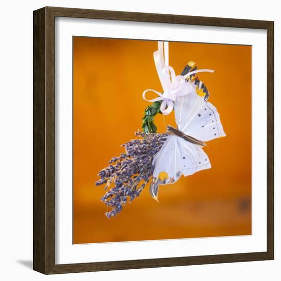 Butterfly with lavender as a jewellery-Alexander Georgiadis-Framed Photographic Print