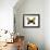 Butterfly with Orange-Julia Bosco-Framed Art Print displayed on a wall