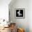 Butterfly-Sean Justice-Framed Photographic Print displayed on a wall