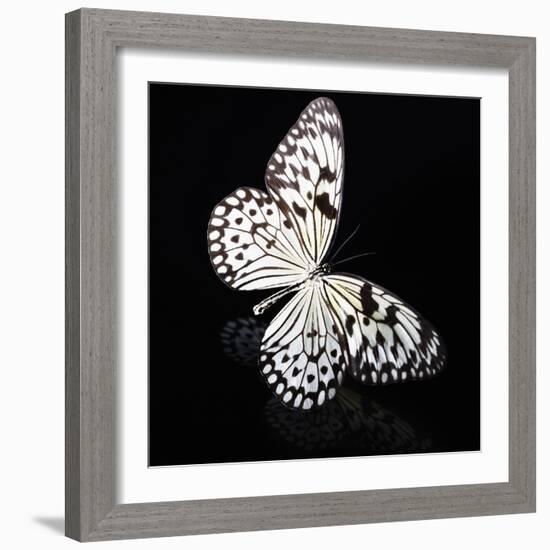 Butterfly-Sean Justice-Framed Photographic Print