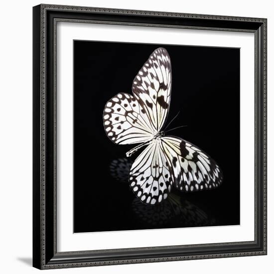 Butterfly-Sean Justice-Framed Photographic Print