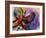 Butterfly-Diana Ong-Framed Giclee Print