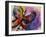 Butterfly-Diana Ong-Framed Giclee Print