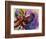 Butterfly-Diana Ong-Framed Giclee Print