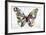 Butterfly-Aimee Wilson-Framed Art Print