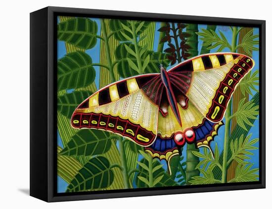 Butterfly-Tamas Galambos-Framed Premier Image Canvas