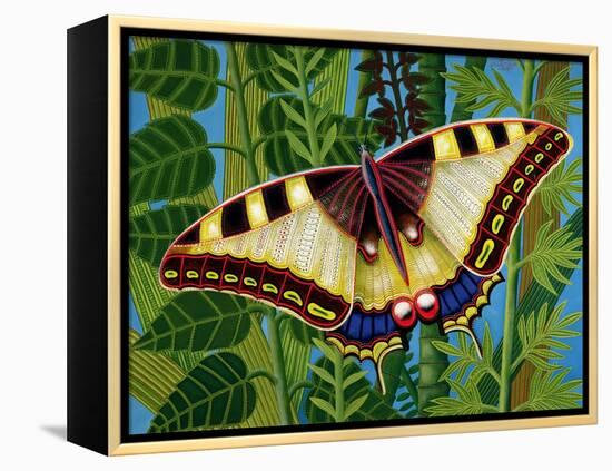 Butterfly-Tamas Galambos-Framed Premier Image Canvas