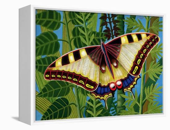 Butterfly-Tamas Galambos-Framed Premier Image Canvas