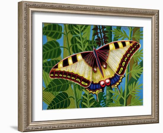 Butterfly-Tamas Galambos-Framed Giclee Print