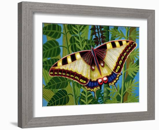 Butterfly-Tamas Galambos-Framed Giclee Print