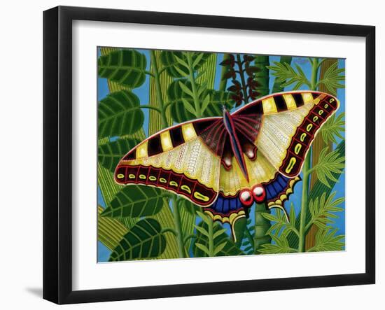 Butterfly-Tamas Galambos-Framed Giclee Print