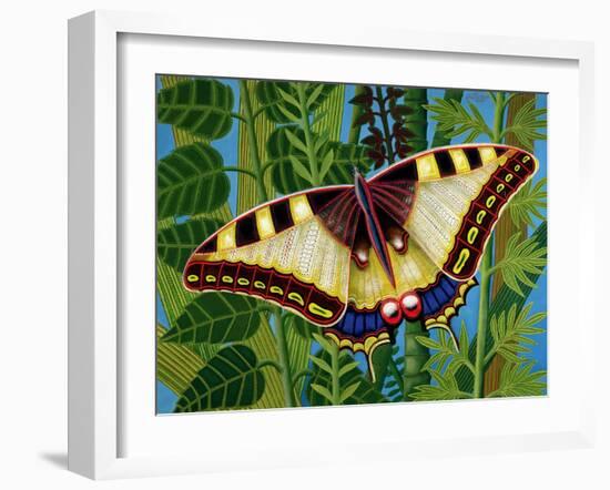 Butterfly-Tamas Galambos-Framed Giclee Print