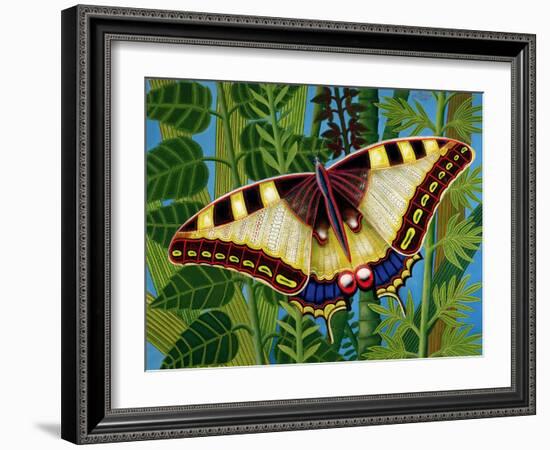 Butterfly-Tamas Galambos-Framed Giclee Print