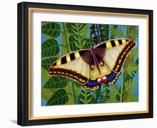 Butterfly-Tamas Galambos-Framed Giclee Print