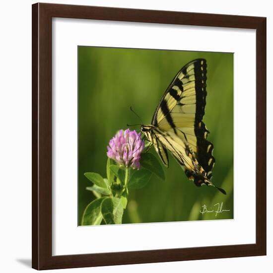 Butterfly-5fishcreative-Framed Giclee Print