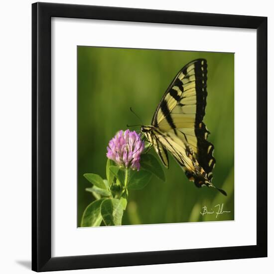 Butterfly-5fishcreative-Framed Giclee Print