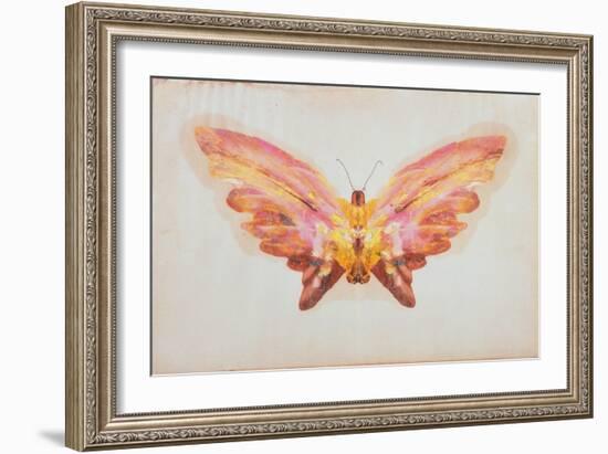 Butterfly-Albert Bierstadt-Framed Giclee Print