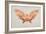 Butterfly-Albert Bierstadt-Framed Giclee Print
