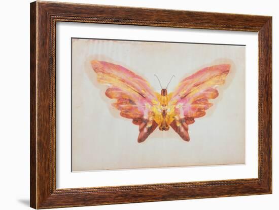 Butterfly-Albert Bierstadt-Framed Giclee Print