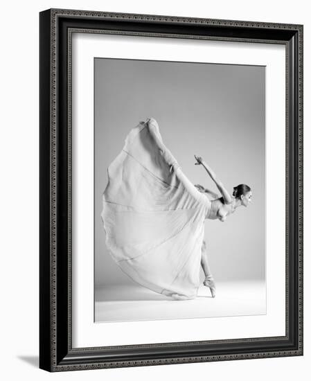 butterfly-Arkadiusz Branicki-Framed Photographic Print