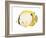 Butterflyfish (Chaetodon Ocellatus), Fishes-Encyclopaedia Britannica-Framed Art Print