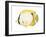 Butterflyfish (Chaetodon Ocellatus), Fishes-Encyclopaedia Britannica-Framed Art Print