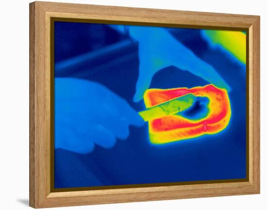 Buttering Toast, Thermogram-Tony McConnell-Framed Premier Image Canvas