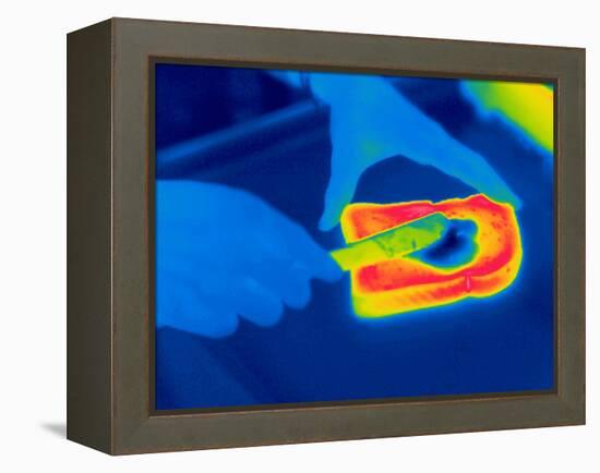 Buttering Toast, Thermogram-Tony McConnell-Framed Premier Image Canvas