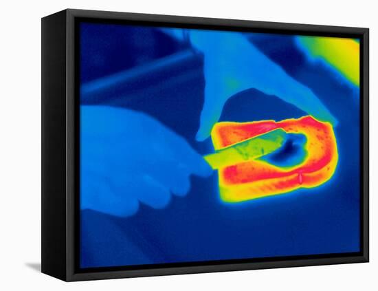 Buttering Toast, Thermogram-Tony McConnell-Framed Premier Image Canvas