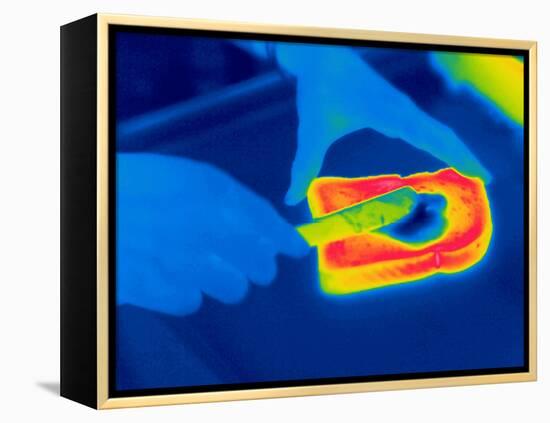 Buttering Toast, Thermogram-Tony McConnell-Framed Premier Image Canvas