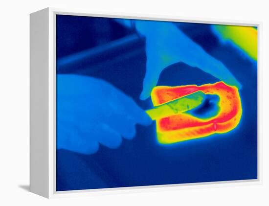 Buttering Toast, Thermogram-Tony McConnell-Framed Premier Image Canvas