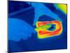 Buttering Toast, Thermogram-Tony McConnell-Mounted Photographic Print