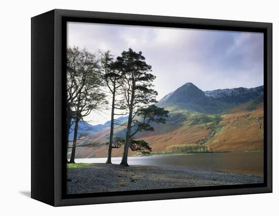 Buttermere, Lake District National Park, Cumbria, England, United Kingdom-Roy Rainford-Framed Premier Image Canvas