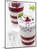 Buttermilk and Redcurrant Layered Dessert with Mint Leaves-null-Mounted Photographic Print