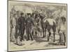 Buying Horses in Brittany for the French Army-Basil Bradley-Mounted Giclee Print