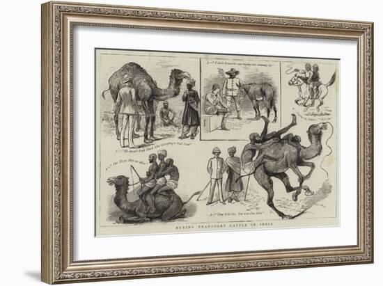 Buying Transport Cattle in India-null-Framed Giclee Print