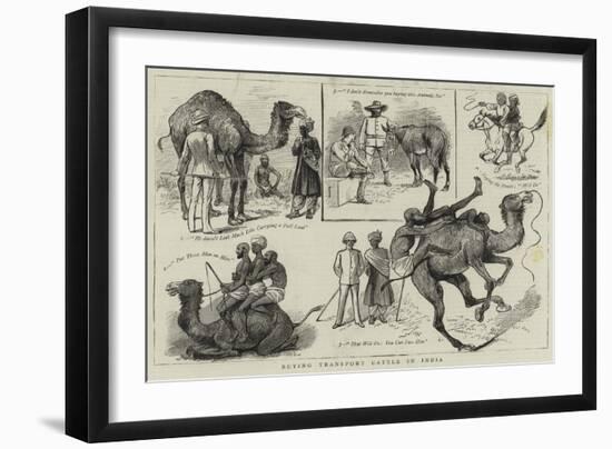 Buying Transport Cattle in India-null-Framed Giclee Print